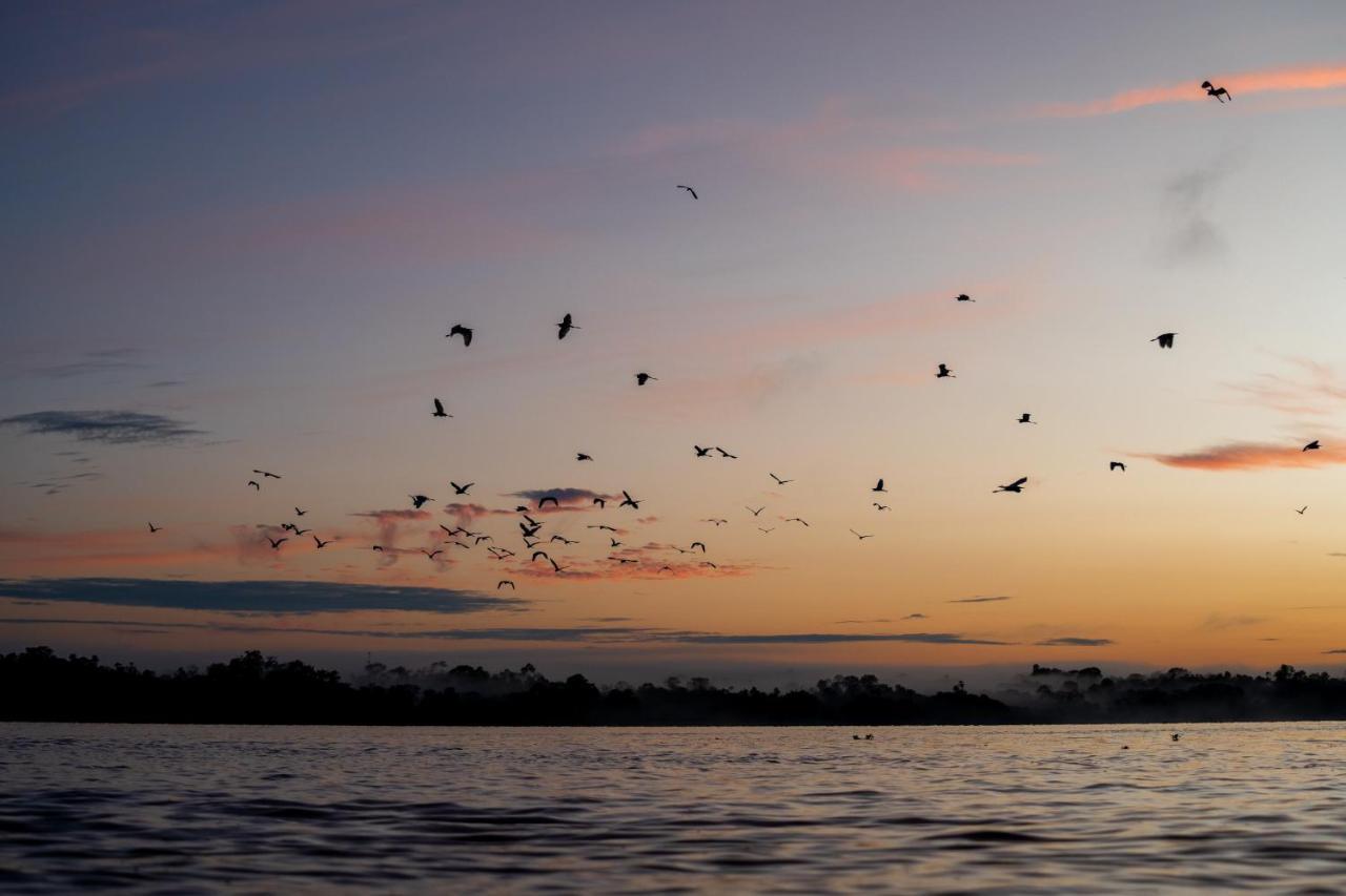 Aemak Iquitos Ecolodge Santa Clara Dış mekan fotoğraf
